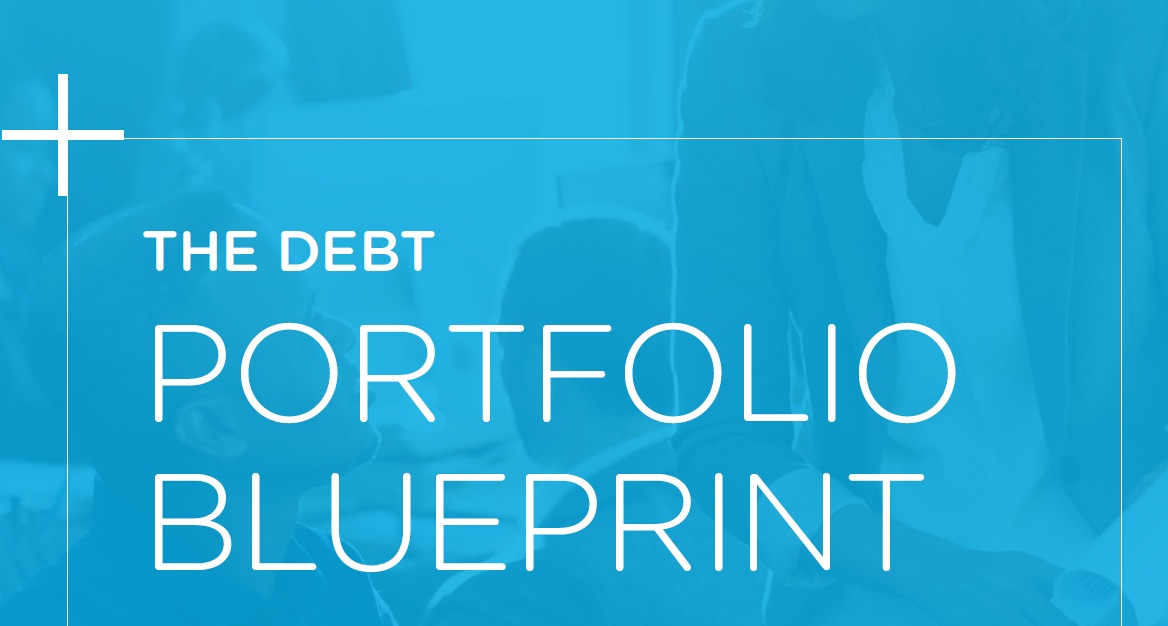 5 steps debt portfolio landscape.jpg